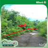 listing thumbnail image 18