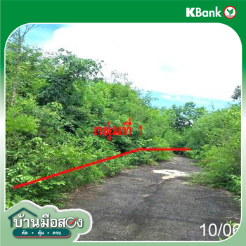 picture LAND 746 Sq.w. Mae Tha Lamphang for 656,000 - 19/21
