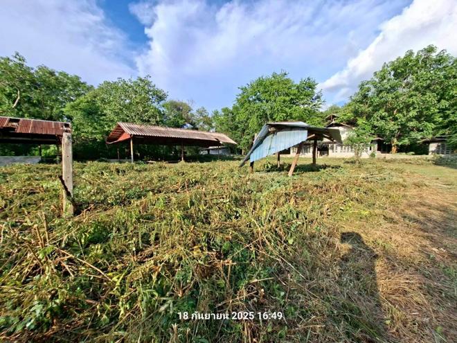 รูป ฟาร์ม 27277 ตร.วา พระพุทธบาท สระบุรี 17.6M - รูปที่ 11/43