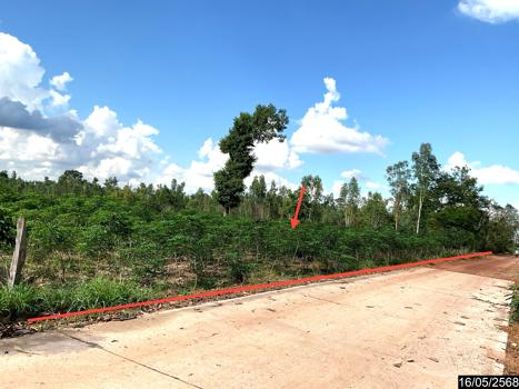 picture LAND 12300 Sq.w. Nong Han Udon Thani for 2.3M - 22/25