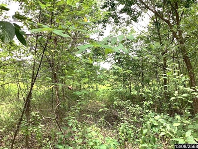 picture LAND 12067 Sq.w. Kut Chap Udon Thani for 4.5M - 8/19
