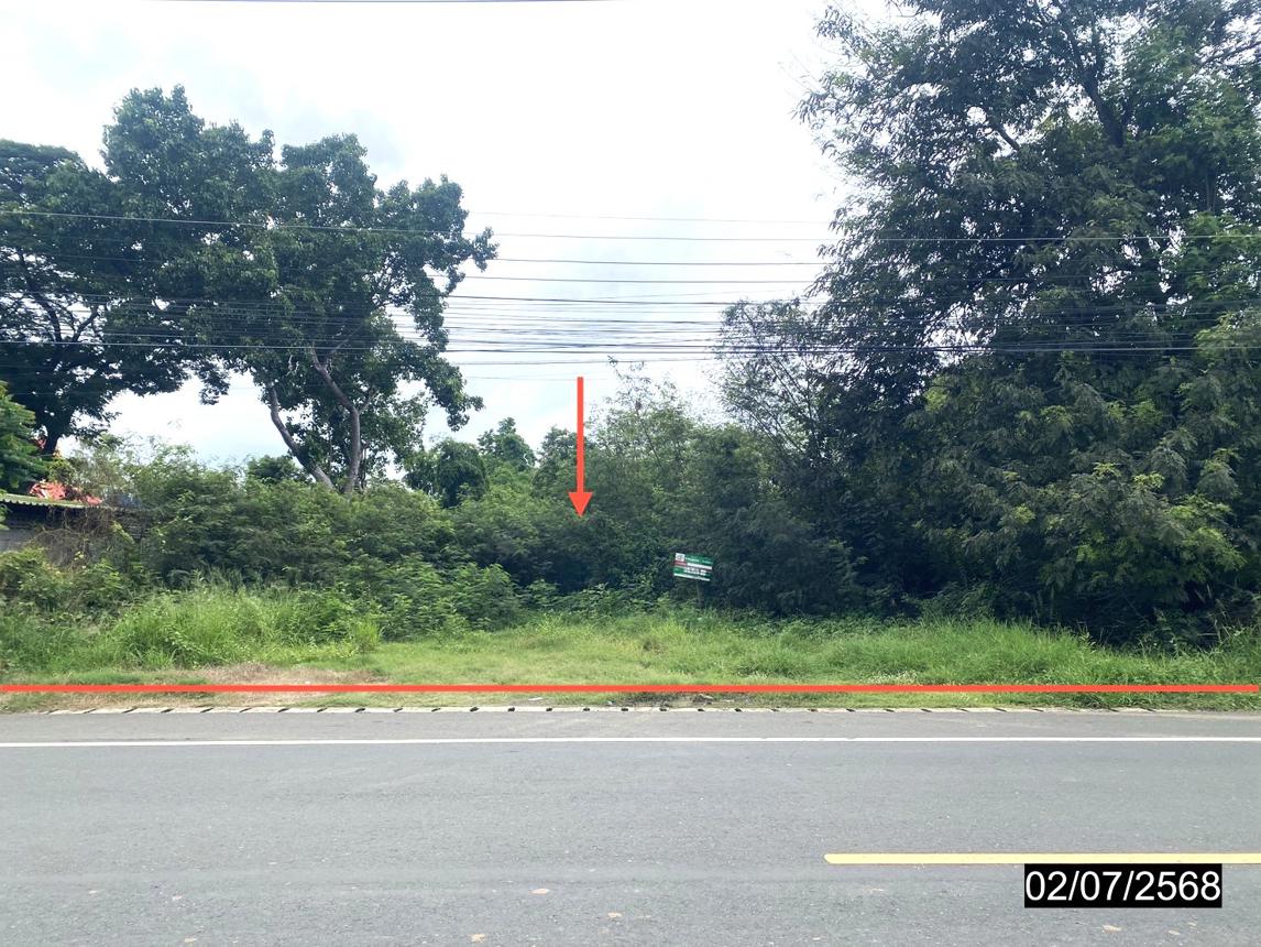 รูป ที่ดินว่างเปล่า 1479.8 ตร.วา เมืองเพชรบูรณ์ เพชรบูรณ์ 7.8M - รูปที่ 11/23