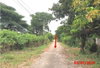 listing thumbnail image 40