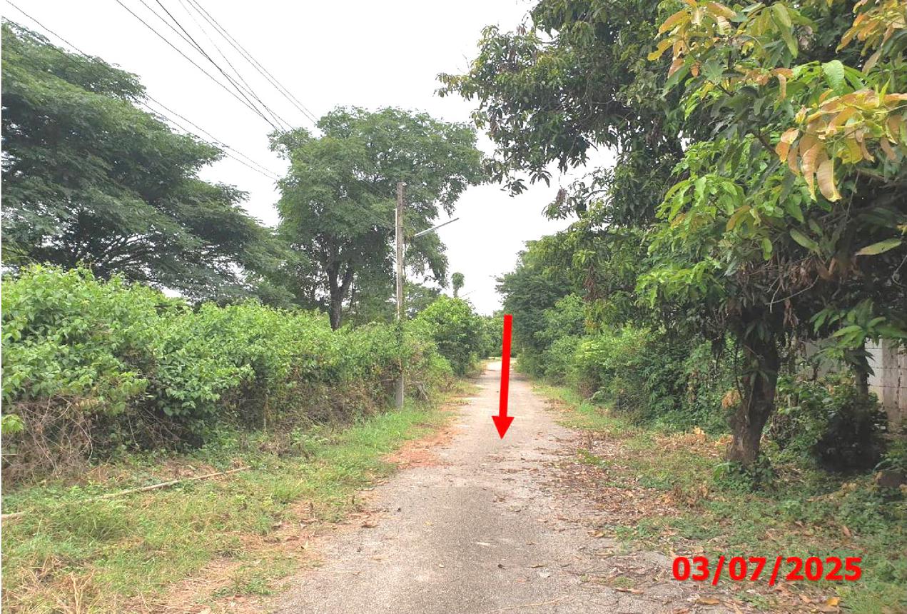 picture FACTORY 3131 Sq.w. Mae Tha Lamphang for 4.7M - 41/47
