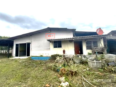 บ้านเดี่ยว ดอยสะเก็ด เชียงใหม่ : บ้านเดี่ยว 1061 ตร.วา ดอยสะเก็ด เชียงใหม่ 6.4M