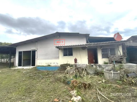 บ้านเดี่ยว 1061 ตร.วา ดอยสะเก็ด เชียงใหม่ 6.4M