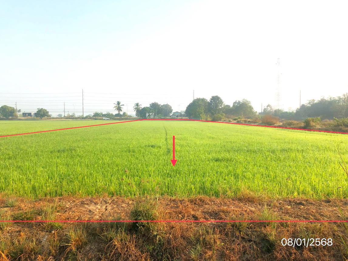 picture LAND 1523 Sq.w. Phrom Phiram Phitsanulok for 2.2M - 13/17