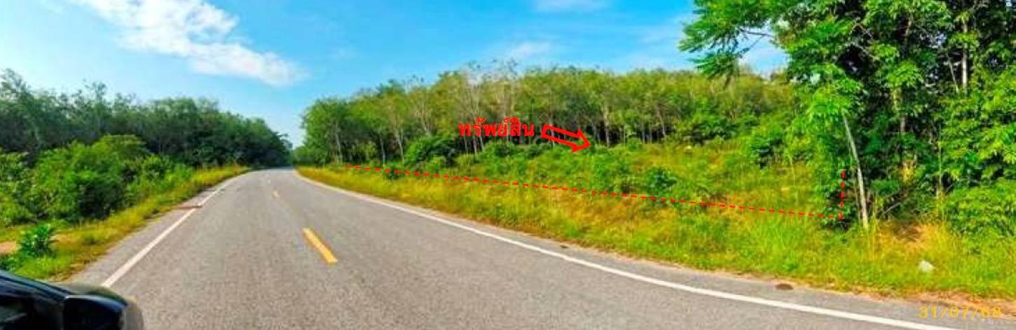 picture LAND 1539 Sq.w. Mae Lan Pattani for 1.4M - 11/19