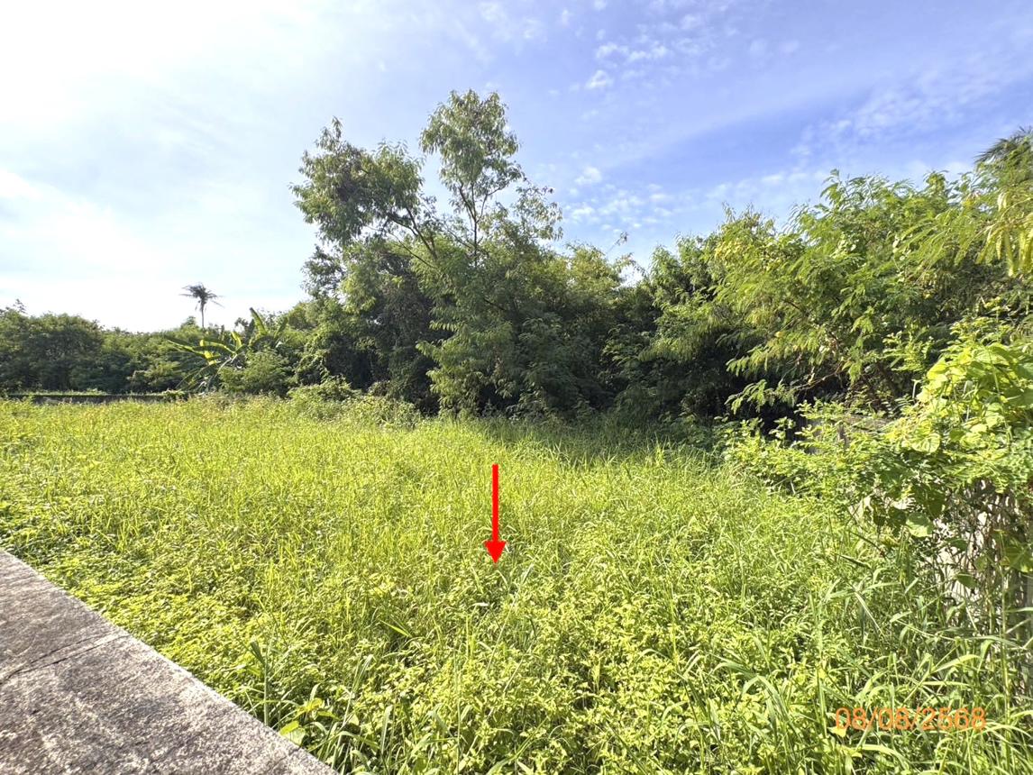 picture LAND 211.8 Sq.w. Bang Khae Bangkok for 6.5M - 9/15