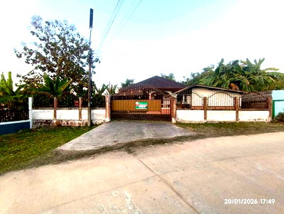 บ้านเดี่ยว แม่จัน เชียงราย : บ้านเดี่ยว 158 ตร.วา แม่จัน เชียงราย 1.4M