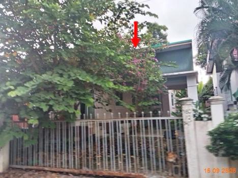 รูป บ้านเดี่ยว 62 ตร.วา บ้านยางโมเดิร์น เมืองบุรีรัมย์ บุรีรัมย์ 1.8M - รูปที่ 8/11