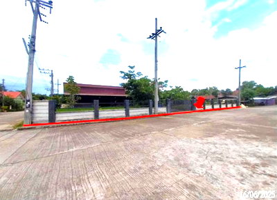 บ้านเดี่ยว ดอยสะเก็ด เชียงใหม่ : บ้านเดี่ยว 150 ตร.วา ไผ่ทองวิว ดอยสะเก็ด เชียงใหม่ 3.2M