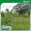 listing thumbnail image 18