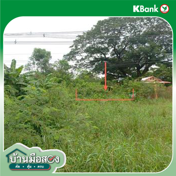 picture LAND 2134.8 Sq.w. Wichian Buri Phetchabun for 4.2M - 19/21
