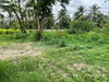 listing thumbnail image 15