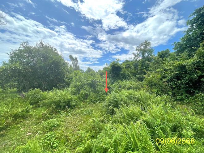 picture LAND 61.8 Sq.w. Hat Yai Songkhla for 354,000 - 6/15