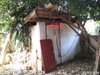 listing thumbnail image 35