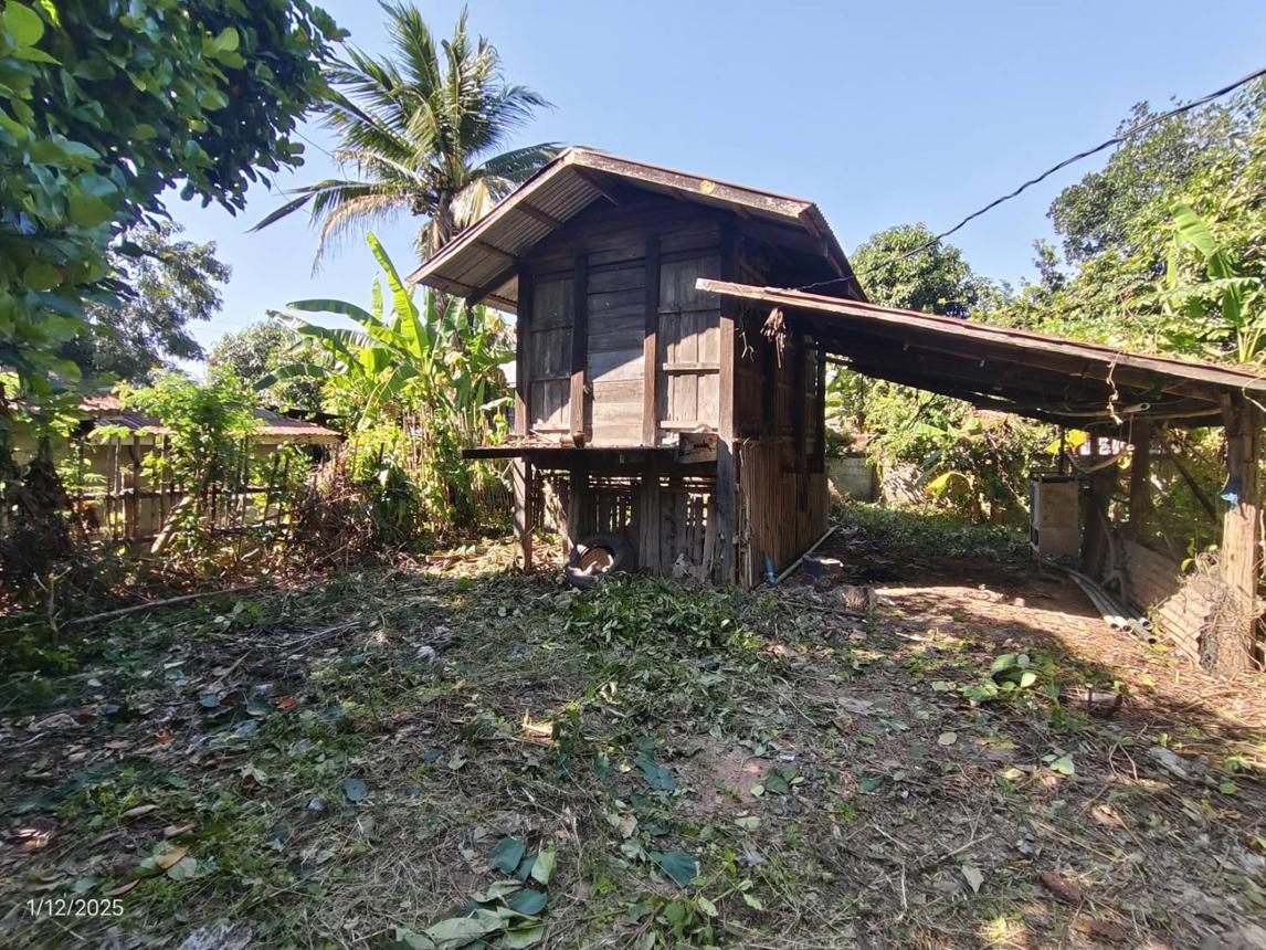 รูป บ้านเดี่ยว 322.3 ตร.วา แก้งคร้อ ชัยภูมิ 937,000 - รูปที่ 47/51