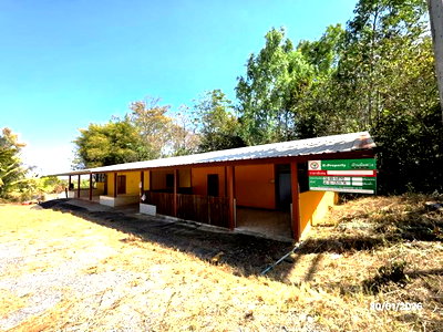 ขายบ้านเดี่ยว : บ้านเดี่ยว 1815 ตร.วา หนองหิน เลย 1.4M
