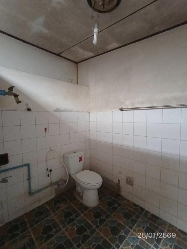 รูป บ้านเดี่ยว 223 ตร.วา ระโนด สงขลา 12M - รูปที่ 40/45