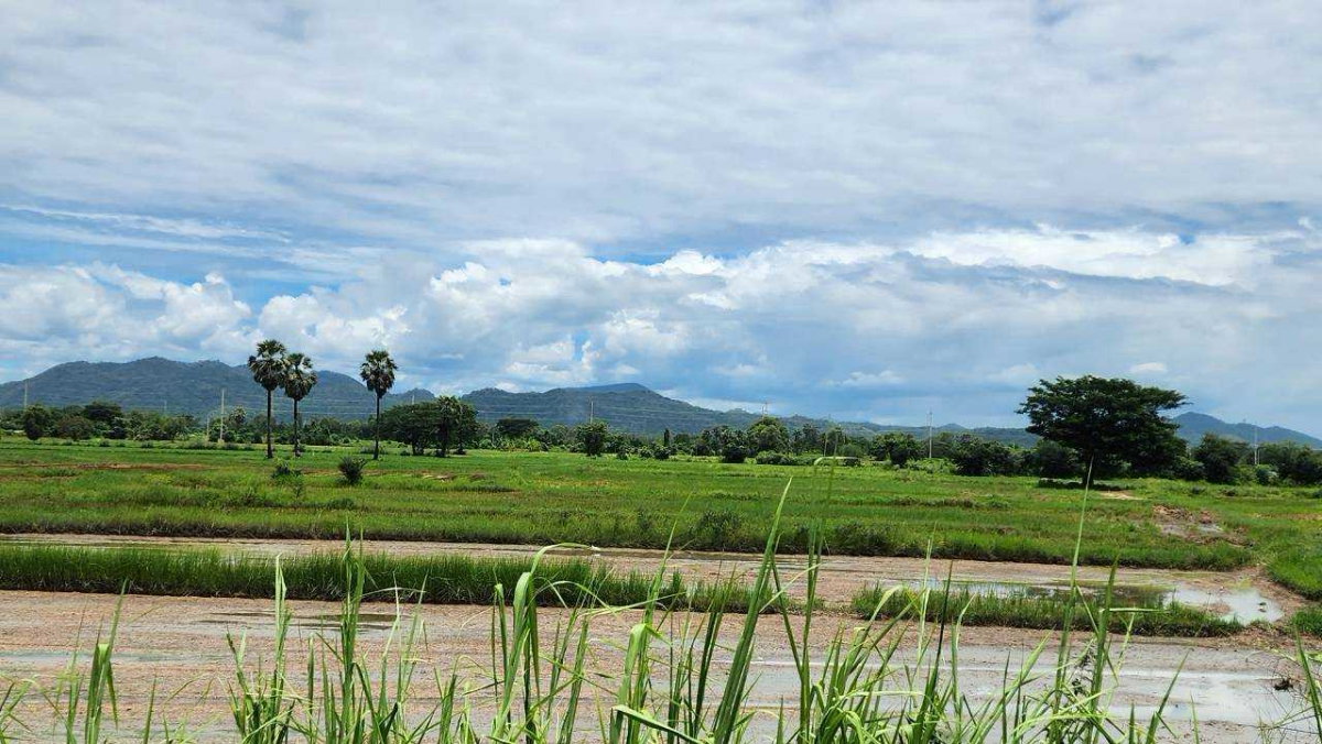 รูป ขายที่ดิน 44 ไร่ 360 ตร.ว. ติดถนนเพชรเกษม กม.143 เขาย้อย เพชรบุรี หน้ากว้าง 120 เมตร แบ่งขายได้ - รูปที่ 7/8