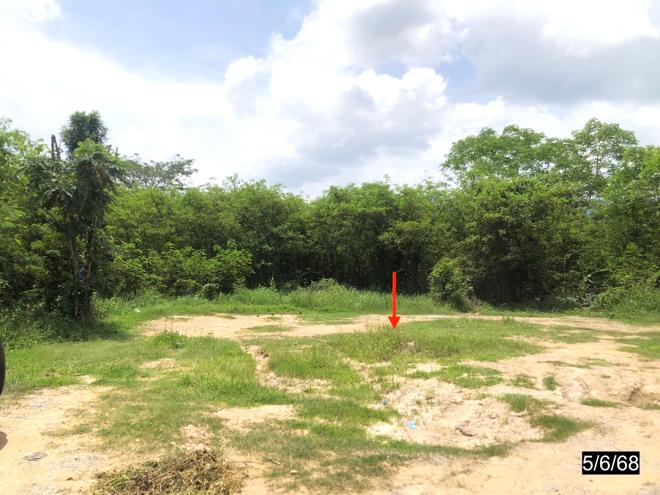 picture LAND 732 Sq.w. Chum Phae Khon Kaen for 13.4M - 5/17