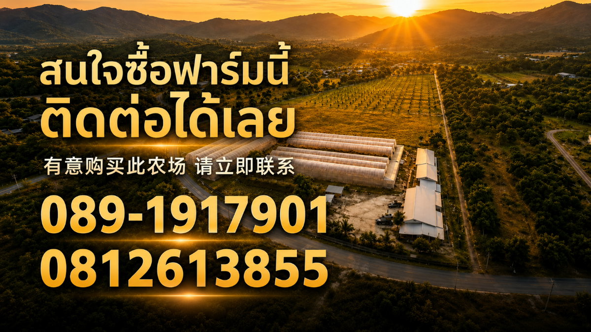 รูป ขายฟาร์มโรงเรือนพร้อมที่ดิน 19 ไร่+ ป่าซาง ลำพูน — โรงเรือน 5 หลัง พร้อมอาคาร ระบบน้ำ และพื้นที่ต่อยอด - รูปที่ 7/7