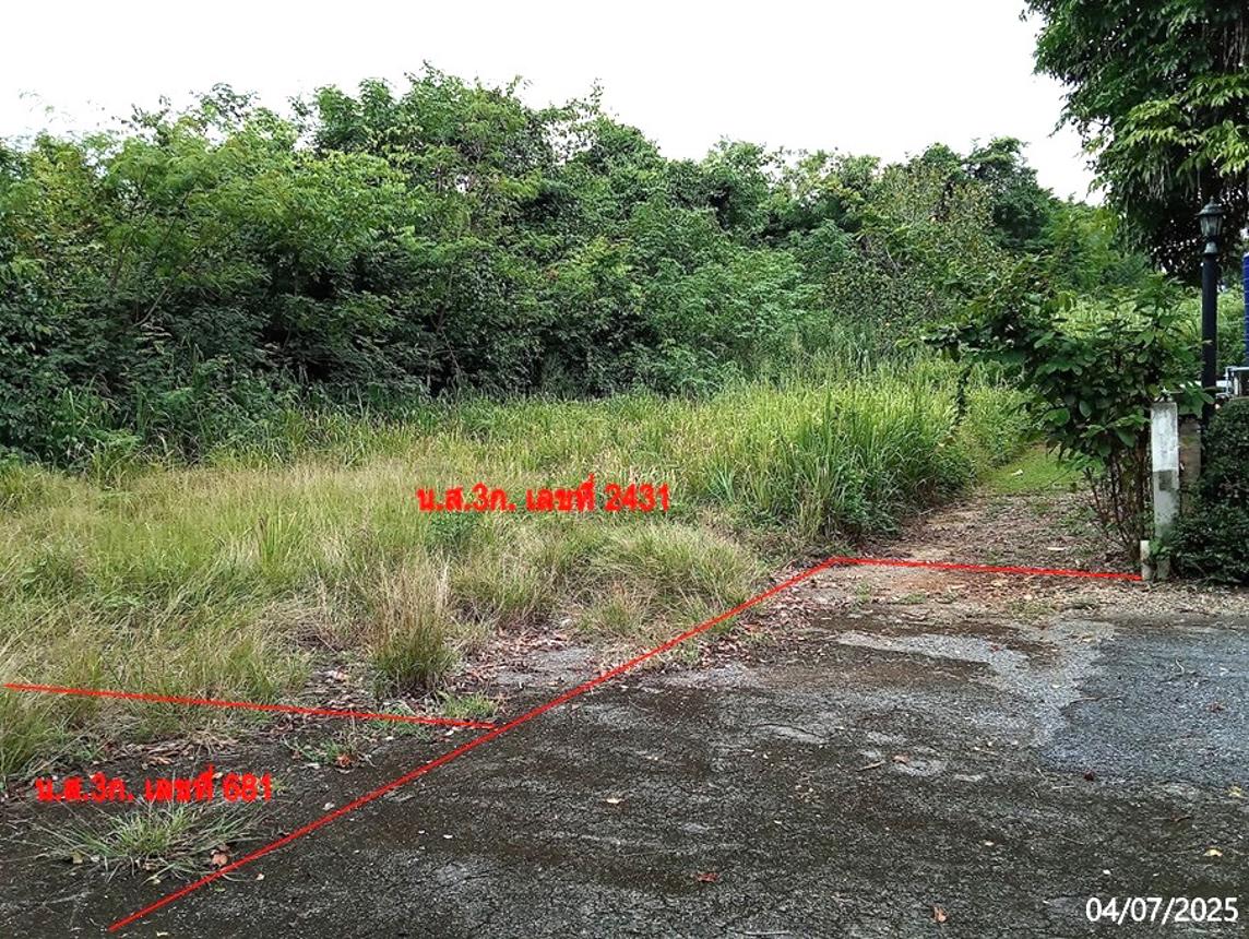 picture LAND 200 Sq.w. Pak Chong Nakhon Ratchasima for 3.6M - 11/17