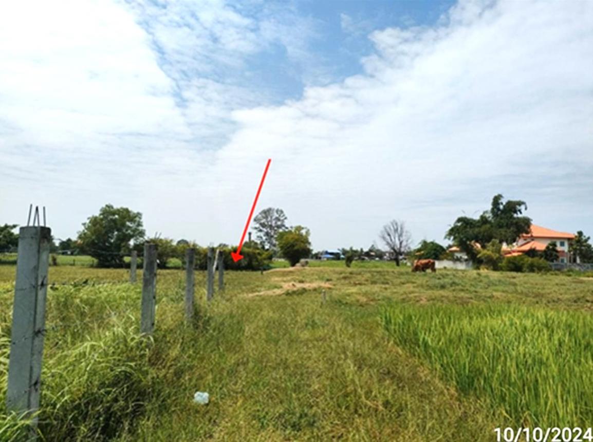 รูป ที่ดินว่างเปล่า 195.4 ตร.วา เมืองร้อยเอ็ด ร้อยเอ็ด 587,000 - รูปที่ 13/19