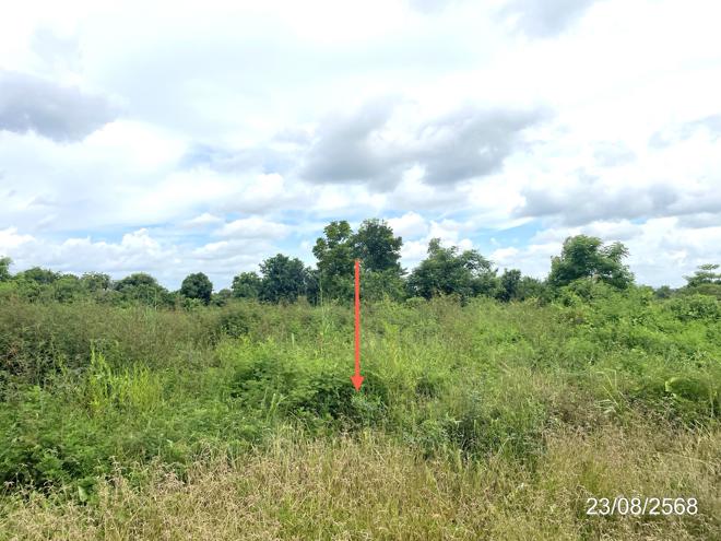 รูป ที่ดินว่างเปล่า 3368 ตร.วา ชนแดน เพชรบูรณ์ 5.1M - รูปที่ 9/25