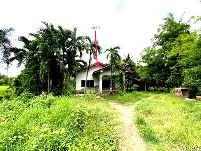 ขายบ้านเดี่ยว : บ้านเดี่ยว 726 ตร.วา ค่ายบางระจัน สิงห์บุรี 1.1M