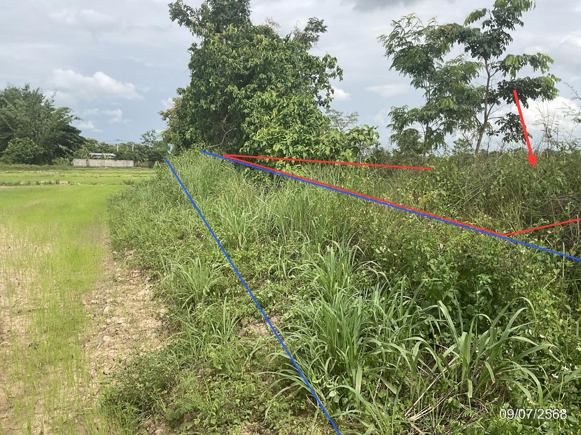 รูป ที่ดินว่างเปล่า 1292.7 ตร.วา เมืองพะเยา พะเยา 668,000 - รูปที่ 16/21