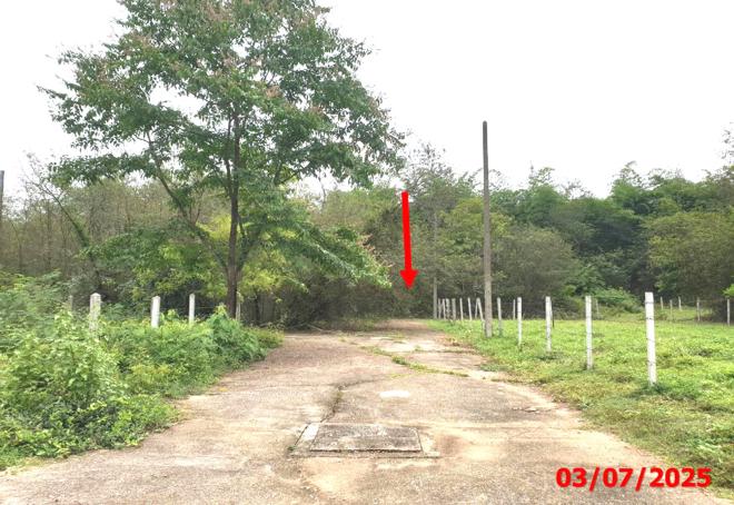 picture LAND 110.9 Sq.w. Muang Lampang Lamphang for 209,000 - 4/15