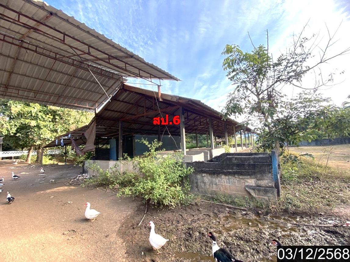 รูป บ้านเดี่ยว 17362 ตร.วา ประจักษ์ศิลปาคม อุดรธานี 16.2M - รูปที่ 37/49