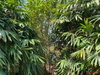 listing thumbnail image 30