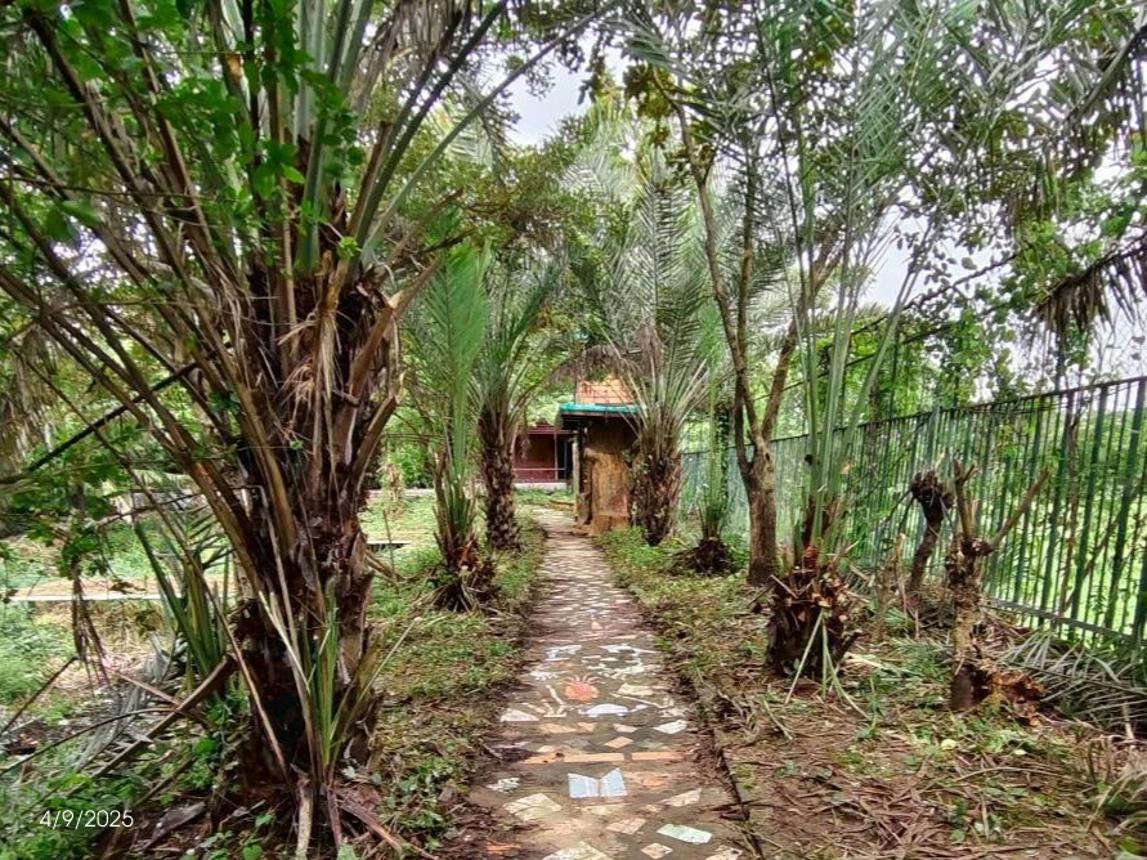 picture HOME 568.3 Sq.w. Muang Khon Kaen Khon Kaen for 4.7M - 50/55