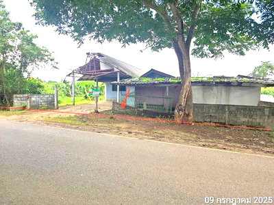 บ้านเดี่ยว เวียงป่าเป้า เชียงราย : บ้านเดี่ยว 255 ตร.วา เวียงป่าเป้า เชียงราย 873,000