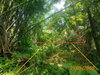 listing thumbnail image 38