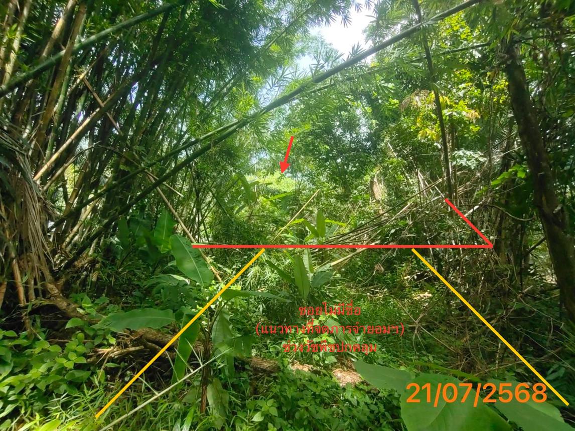 picture HOME 4455.3 Sq.w. Takua Thung Phangnga for 3.8M - 39/43