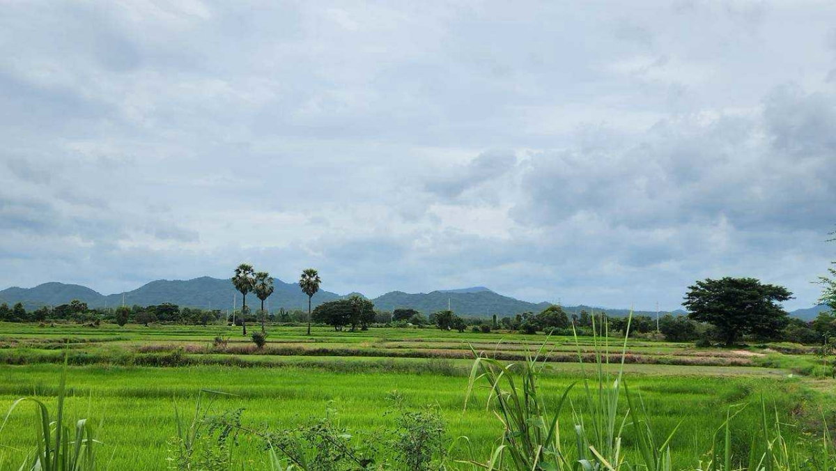 รูป ขายที่ดิน 44 ไร่ 360 ตร.ว. ติดถนนเพชรเกษม กม.143 เขาย้อย เพชรบุรี หน้ากว้าง 120 เมตร แบ่งขายได้ - รูปที่ 5/8
