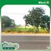 listing thumbnail image 14