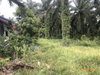 listing thumbnail image 12