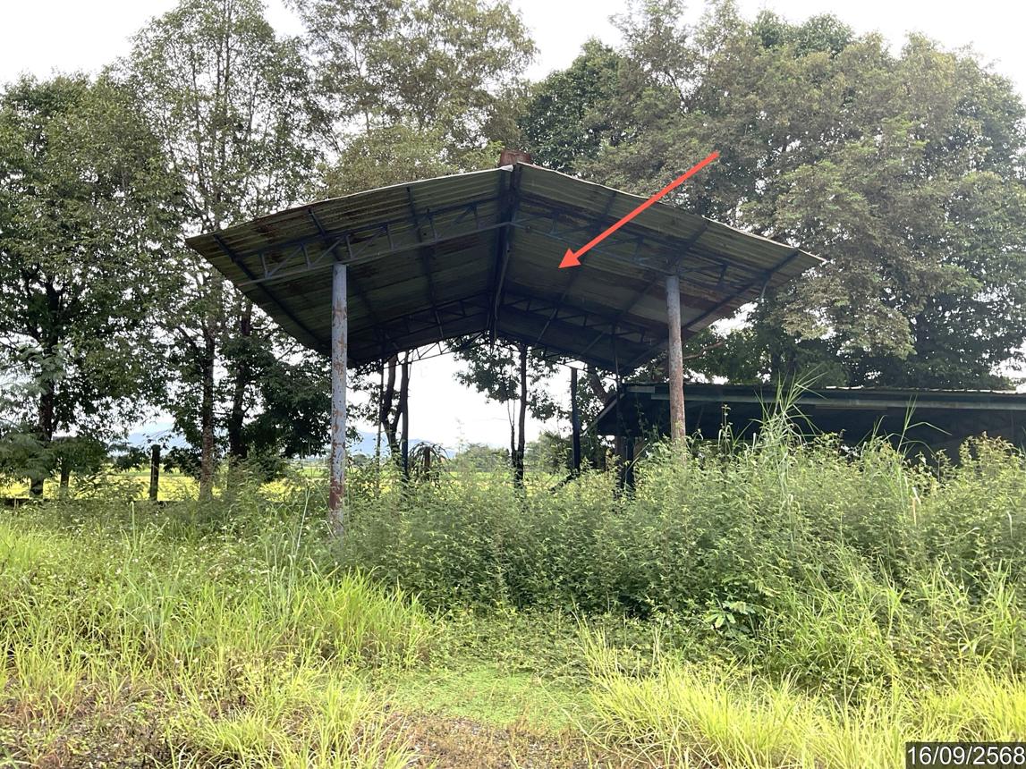 picture HOME 3722 Sq.w. Phaya Mengrai Chiang Rai for 6M - 39/55