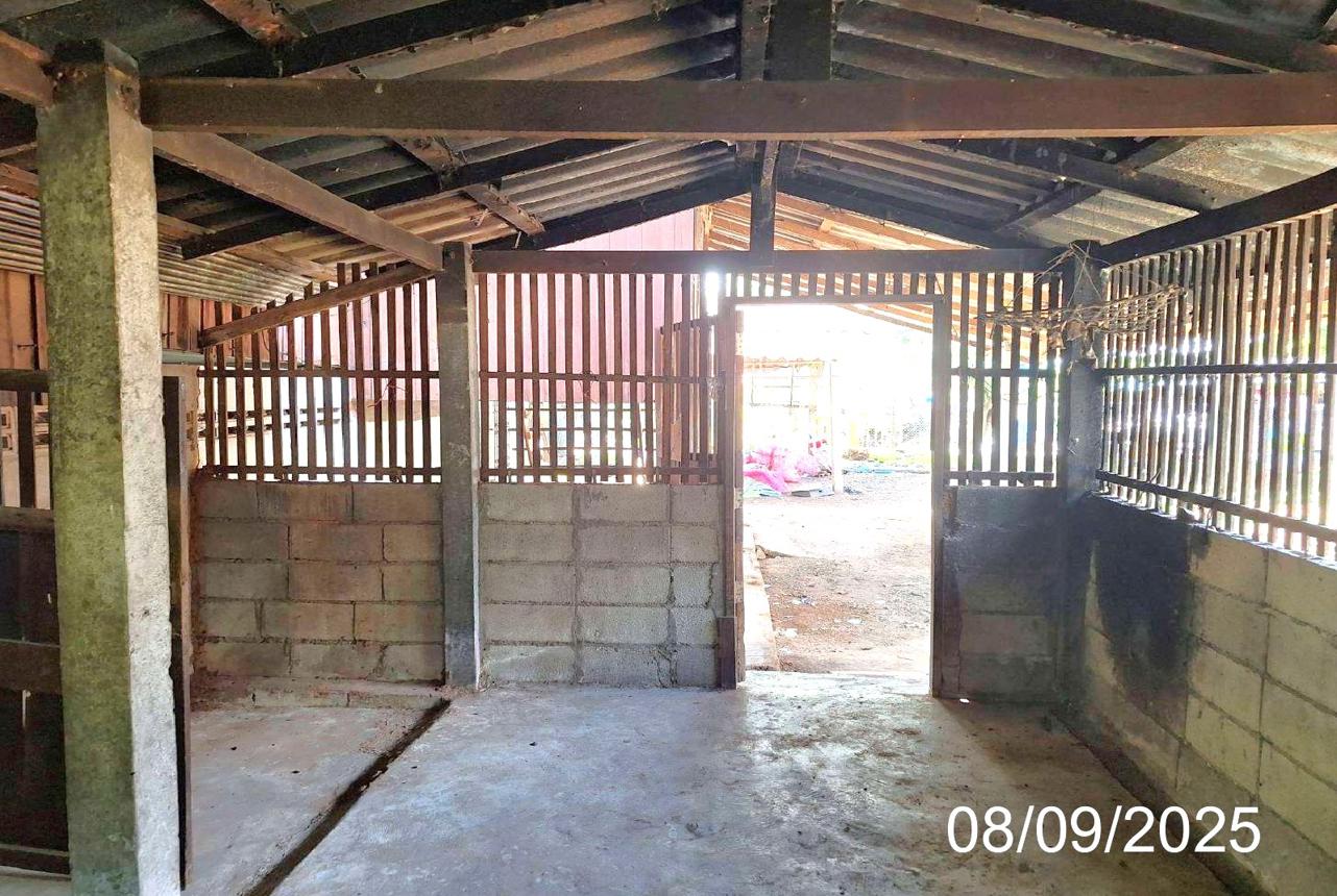picture HOME 297 Sq.w. Mae Tha Lamphun for 845,000 - 41/53
