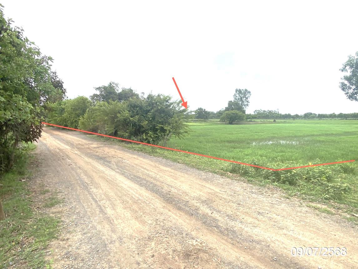 รูป ที่ดินว่างเปล่า 1235 ตร.วา เกษตรวิสัย ร้อยเอ็ด 1.2M - รูปที่ 14/25