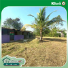 listing thumbnail image 34