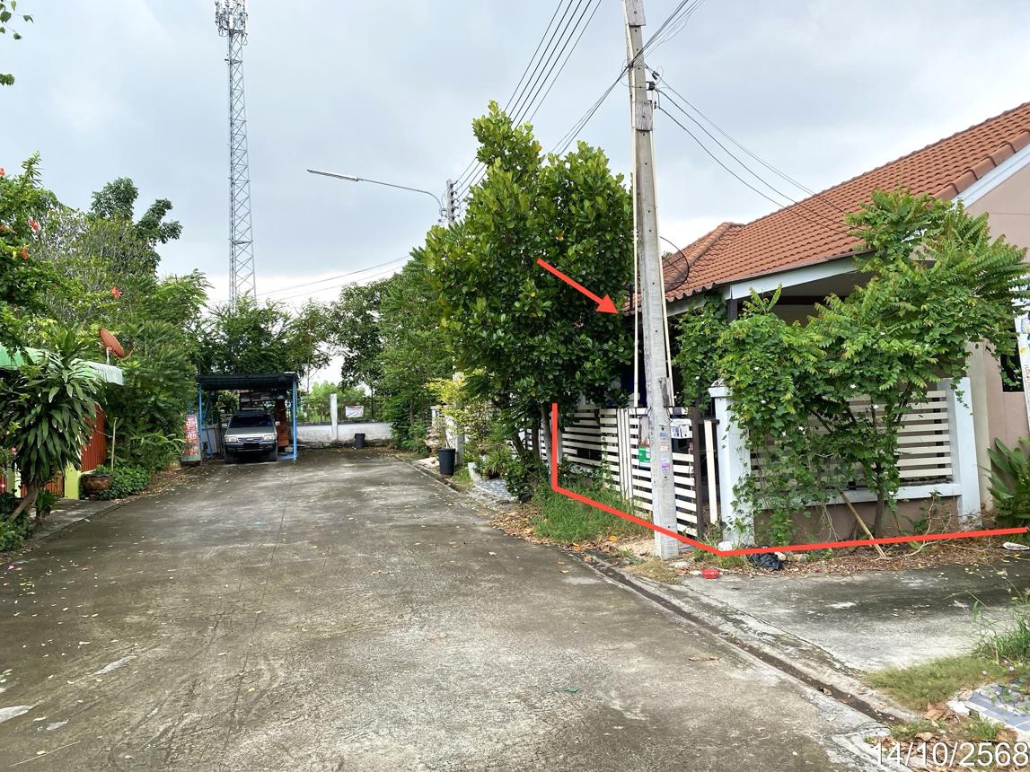 picture TOWN HOUSE 19.5 Sq.w. Phan Thong Chonburi for 1.6M - 10/15