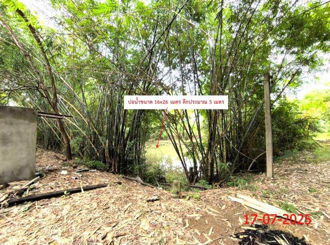 picture FACTORY 4157 Sq.w. Ko Kha Lamphang for 1.7M - 9/25