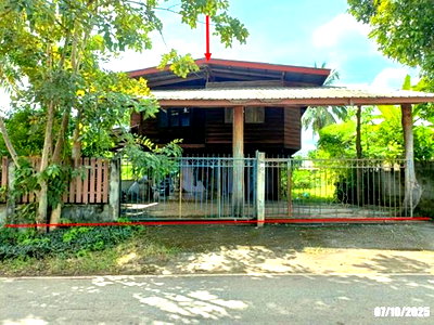 ขายบ้านเดี่ยว : บ้านเดี่ยว 123 ตร.วา ท่าบ่อ หนองคาย 1.2M