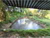 listing thumbnail image 34